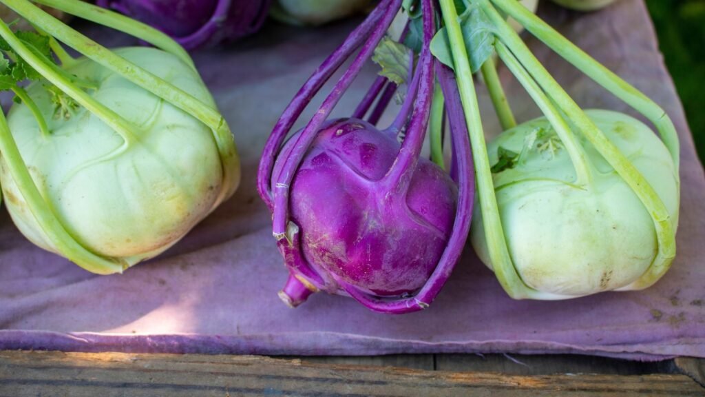 How and When to Harvest Kohlrabi